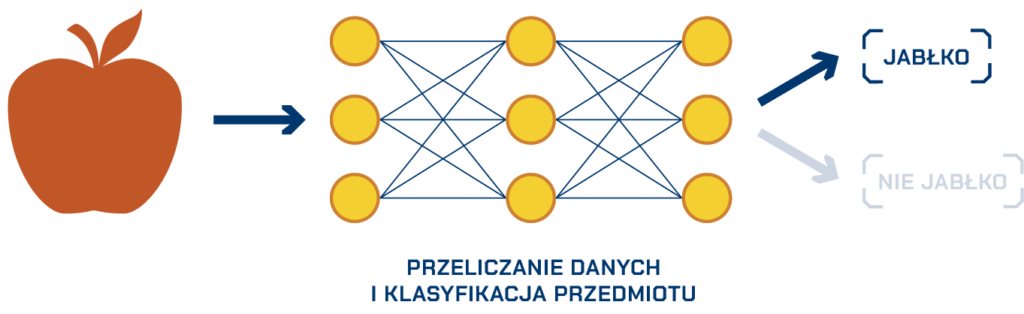 sieci neuronowe jak działają